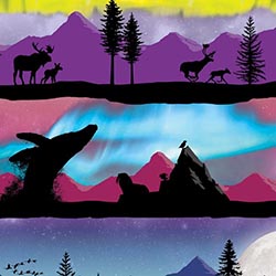 Northern Lights