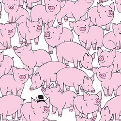 This Little Piggy